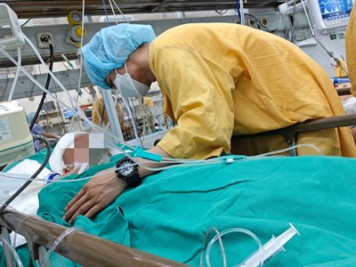 Vượt lên nỗi đau và sự mất mát để hồi sinh bốn cuộc đời